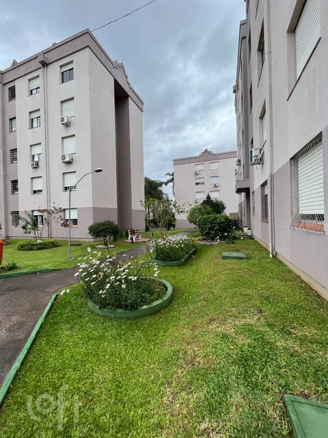 Image 17 - 273053